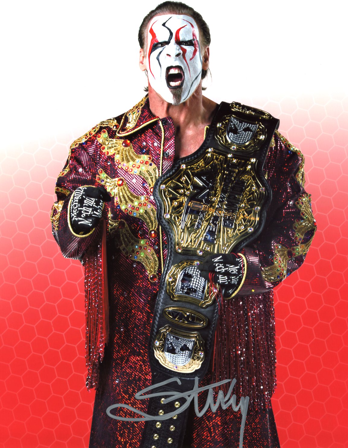 Sting AEW / WWE Wrestling 8x10 Signed Photo JSA Certified Autograph