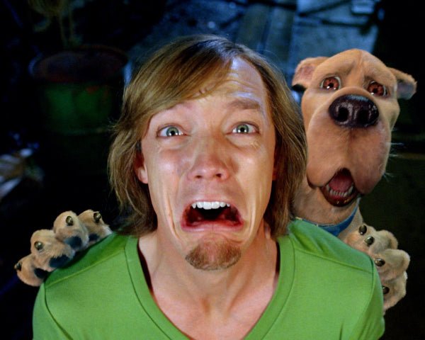 Matthew Lillard: Autograph Signing on Photos, June 30