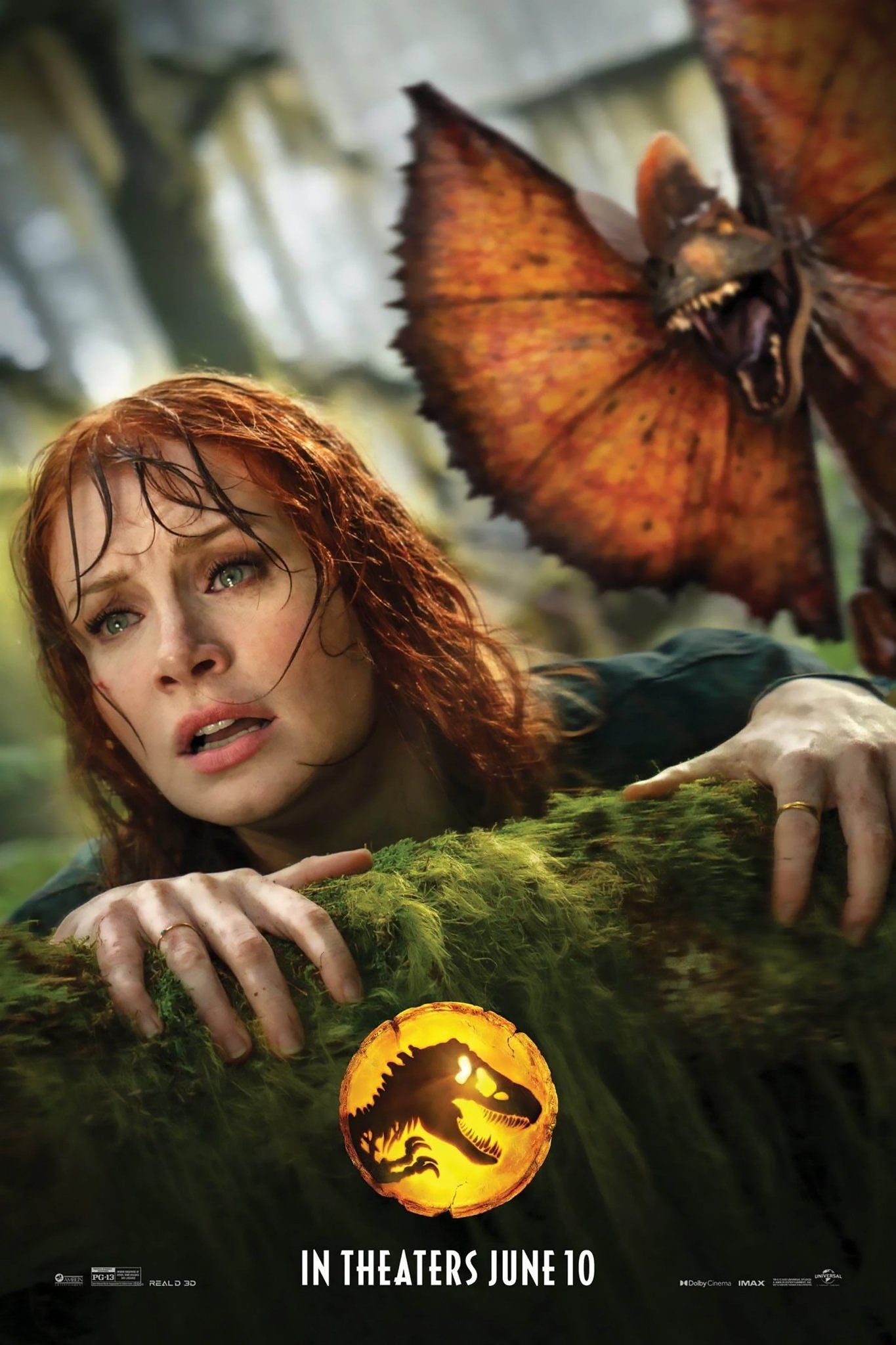 Bryce Dallas Howard: Autograph Signing on Photos, November 27