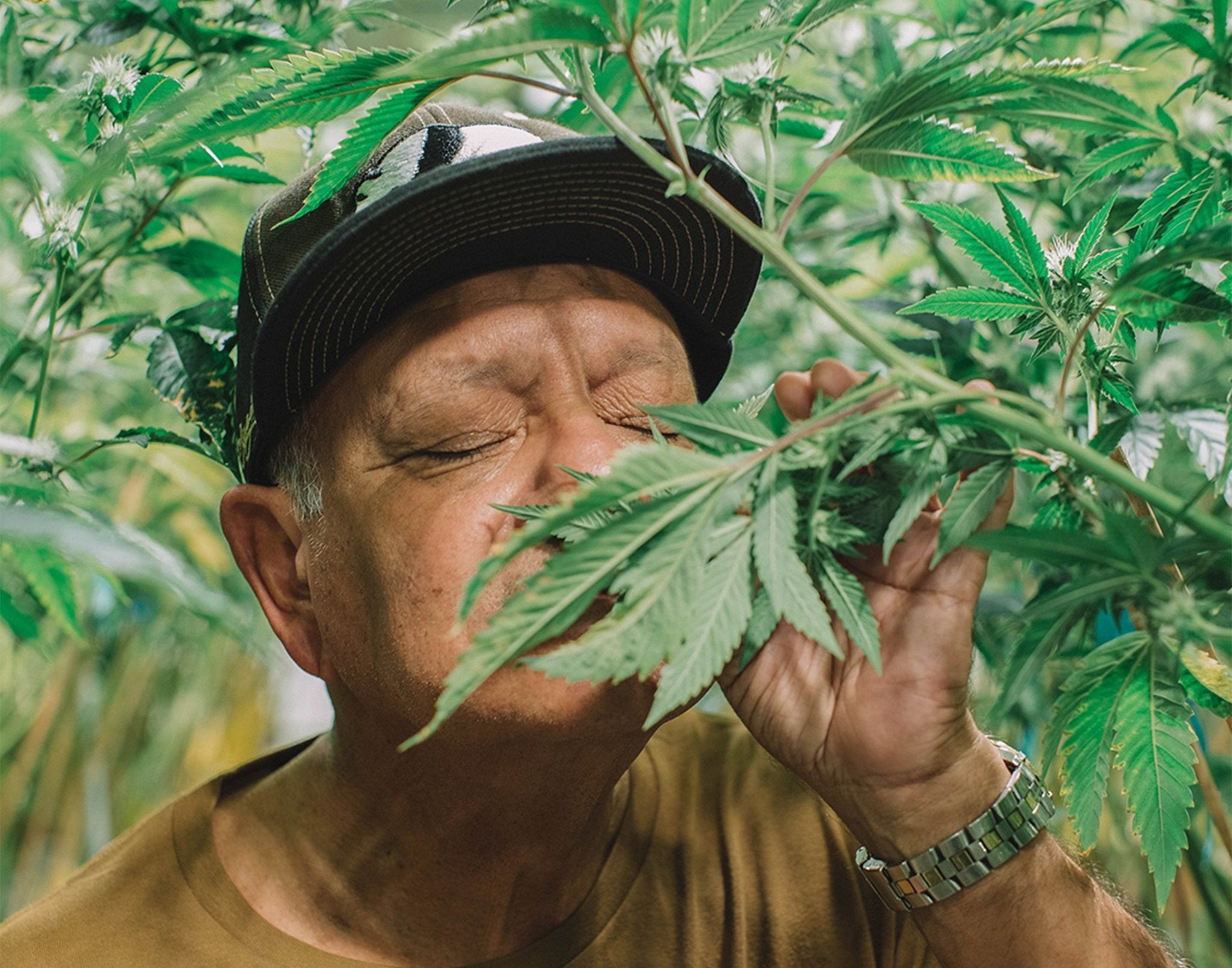 Cheech Marin: Autograph Signing on Mini Posters, May 14