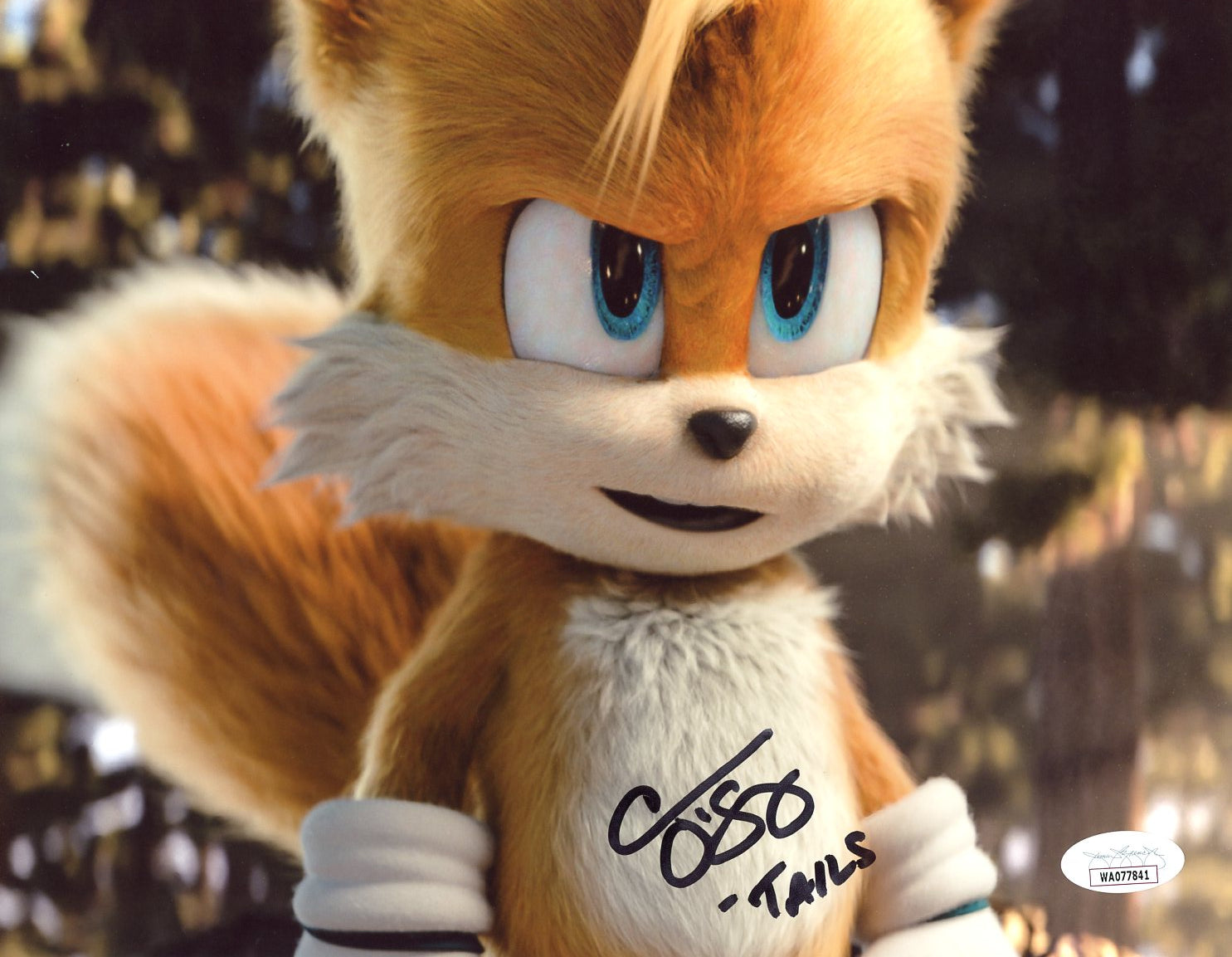 Colleen O'Shaughnessey Sonic the Hedgehog 8x10 Signed Photo JSA Certified Autograph GalaxyCon