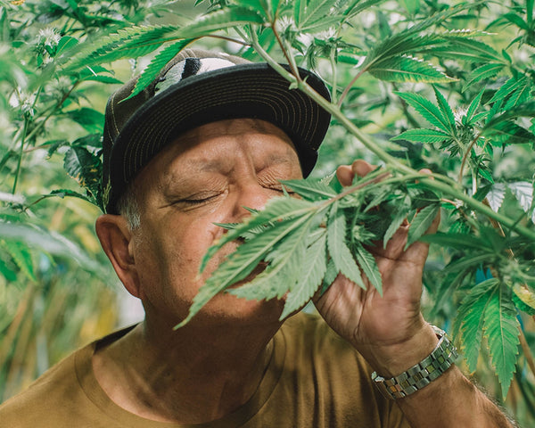 Cheech Marin: Autograph Signing on Photos, May 14