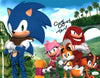 Sonic 11x14 Signed Photo Poster Smith O'Shaughnessey JSA COA Certified Autograph GalaxyCon