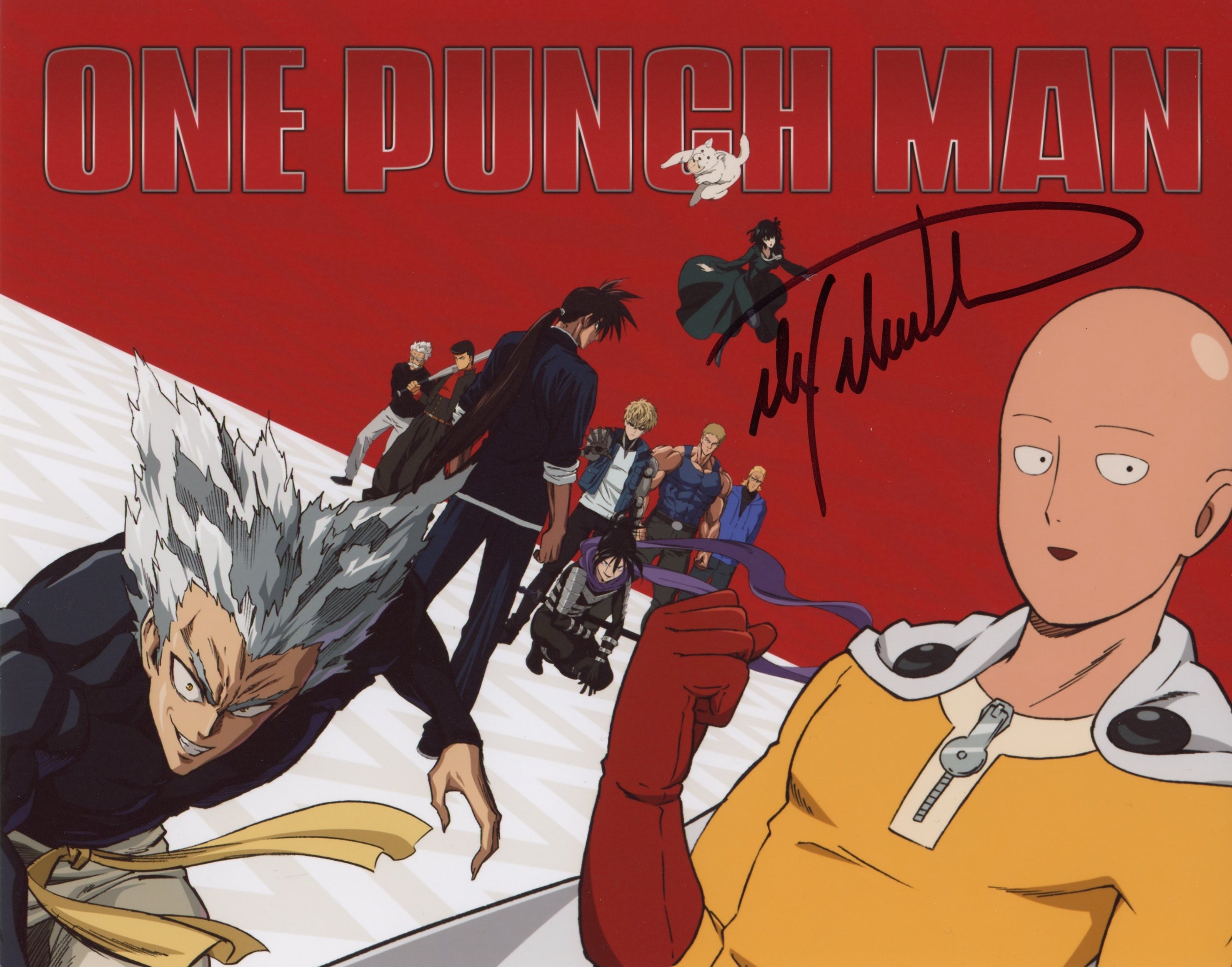 Max Mittelman One Punch Man 11x14 Photo Poster Signed JSA Certified Autograph