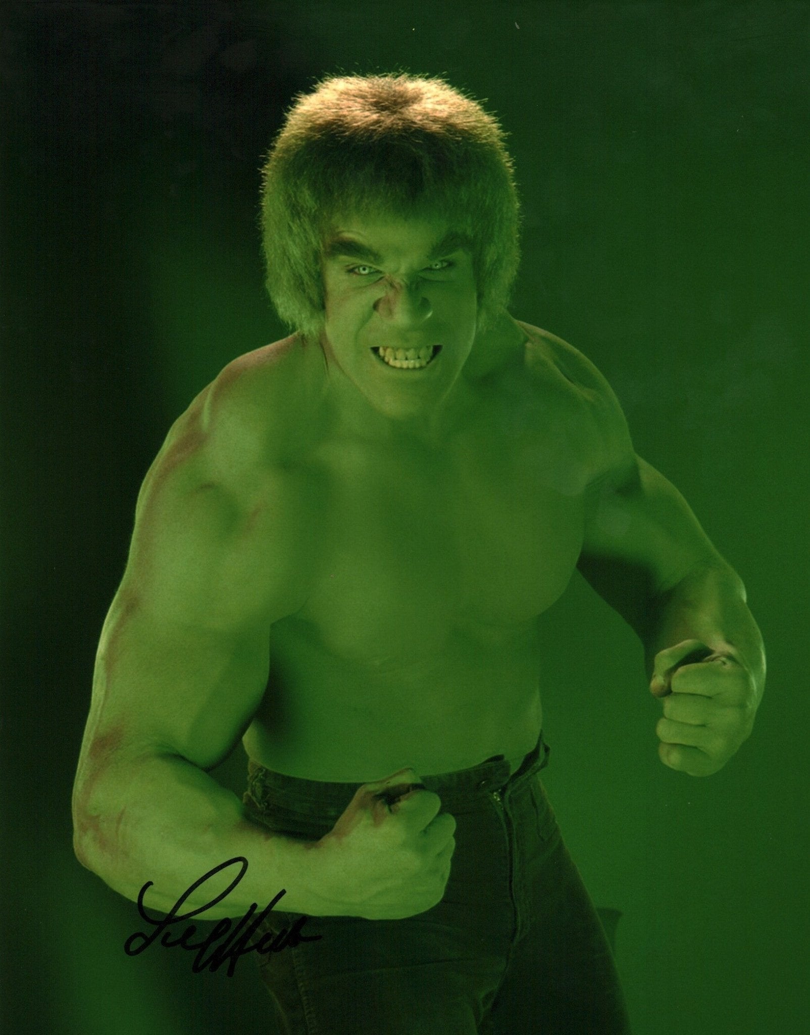 Lou Ferrigno The Incredible Hulk 11x14 Signed Photo Poster JSA Certified Autograph