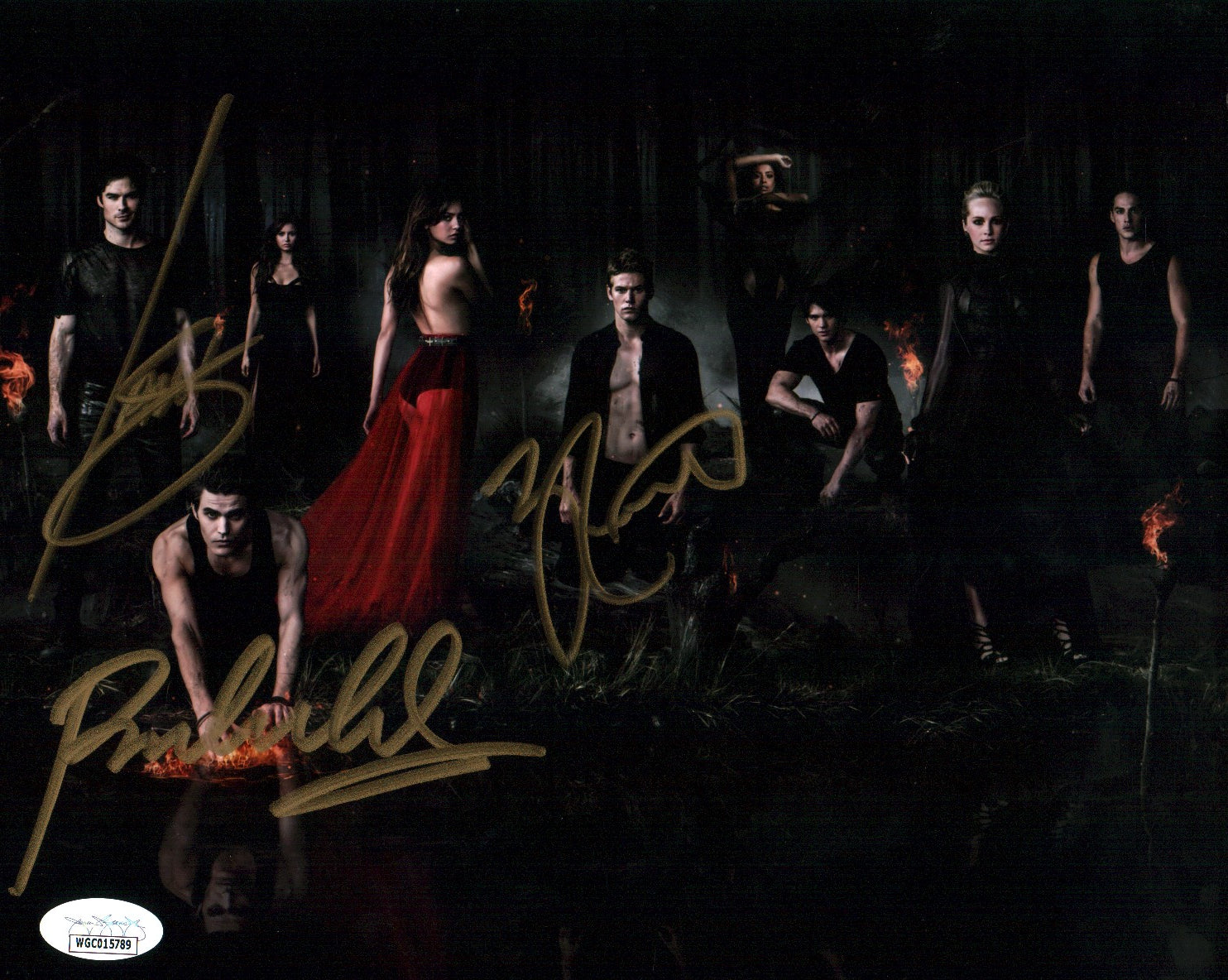 The Vampire Diaries 8x10 Photo Cast x3 Signed Roerig, Wesely, Somerhalder  JSA Certified Autograph