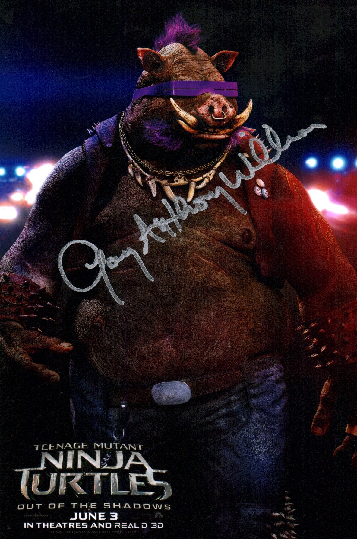 Gary Anthony Williams Teenage Mutant Ninja Turtles 11x17 Signed Photo Poster JSA Certified Autograph