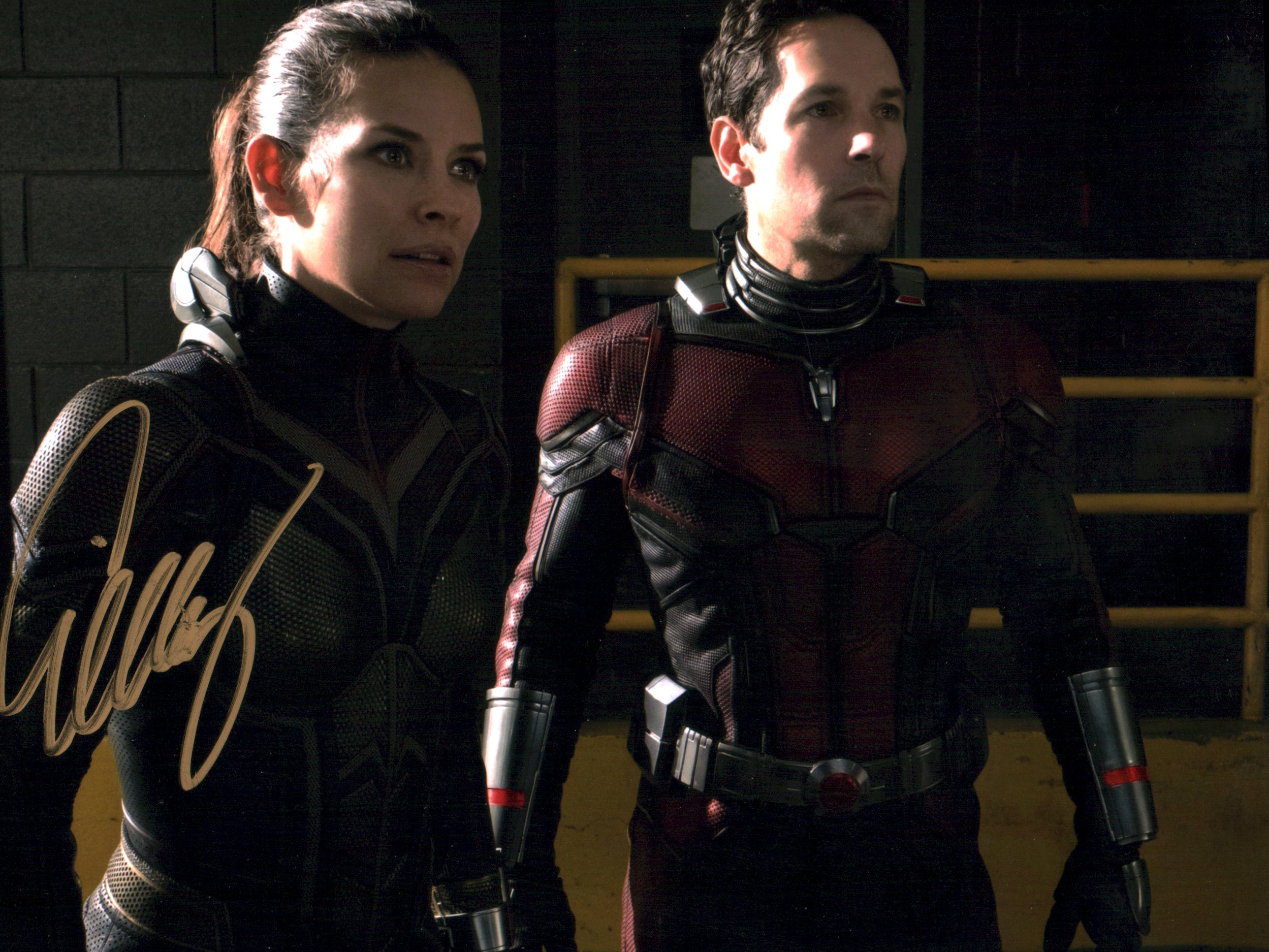 Evangeline Lilly Ant-Man and the Wasp 8x10 Signed Photo JSA Certified Autograph
