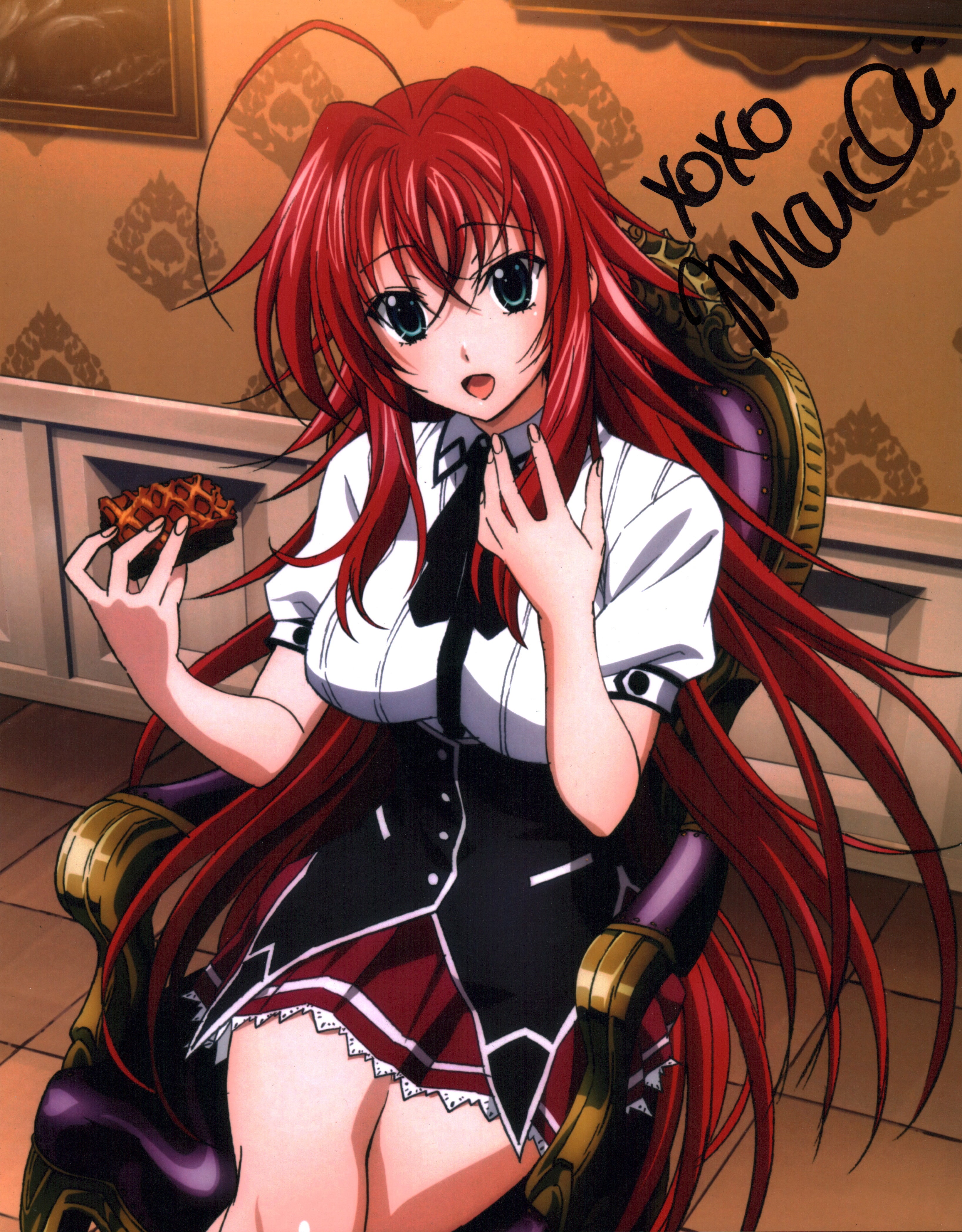 Jamie Marchi High School DxD 11x14 Signed Photo Poster JSA Certified Autograph