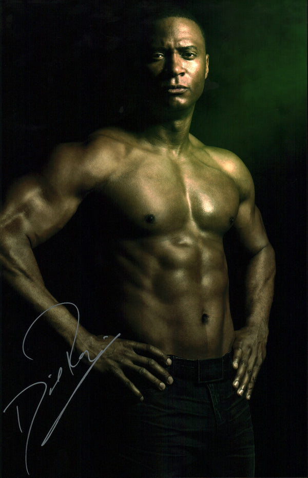 David Ramsey Arrow Signed 11x17 Photo Poster JSA Certified Autograph