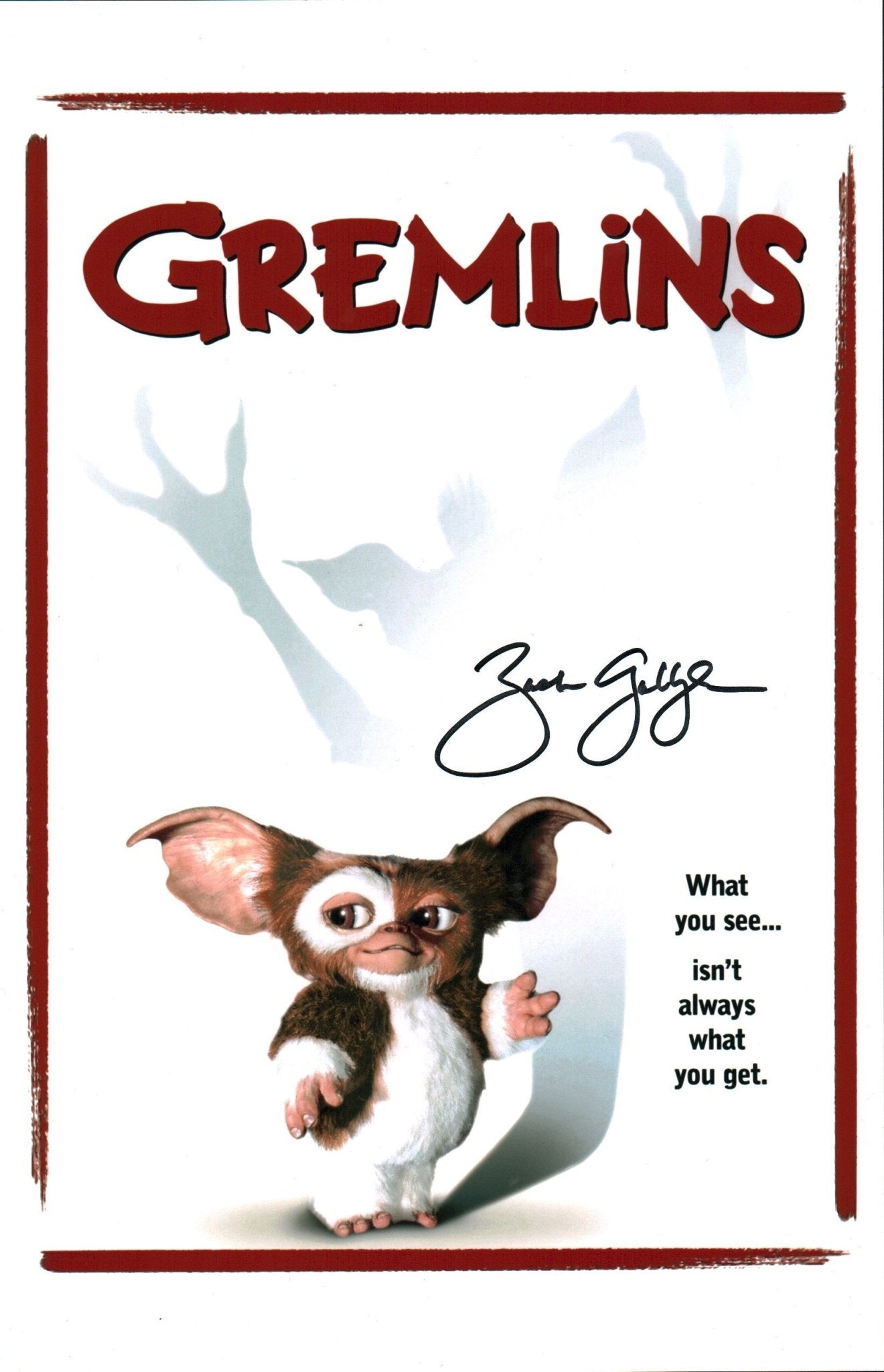 Zach Galligan Gremlins 11x17 Signed Photo Poster JSA Certified Autograph