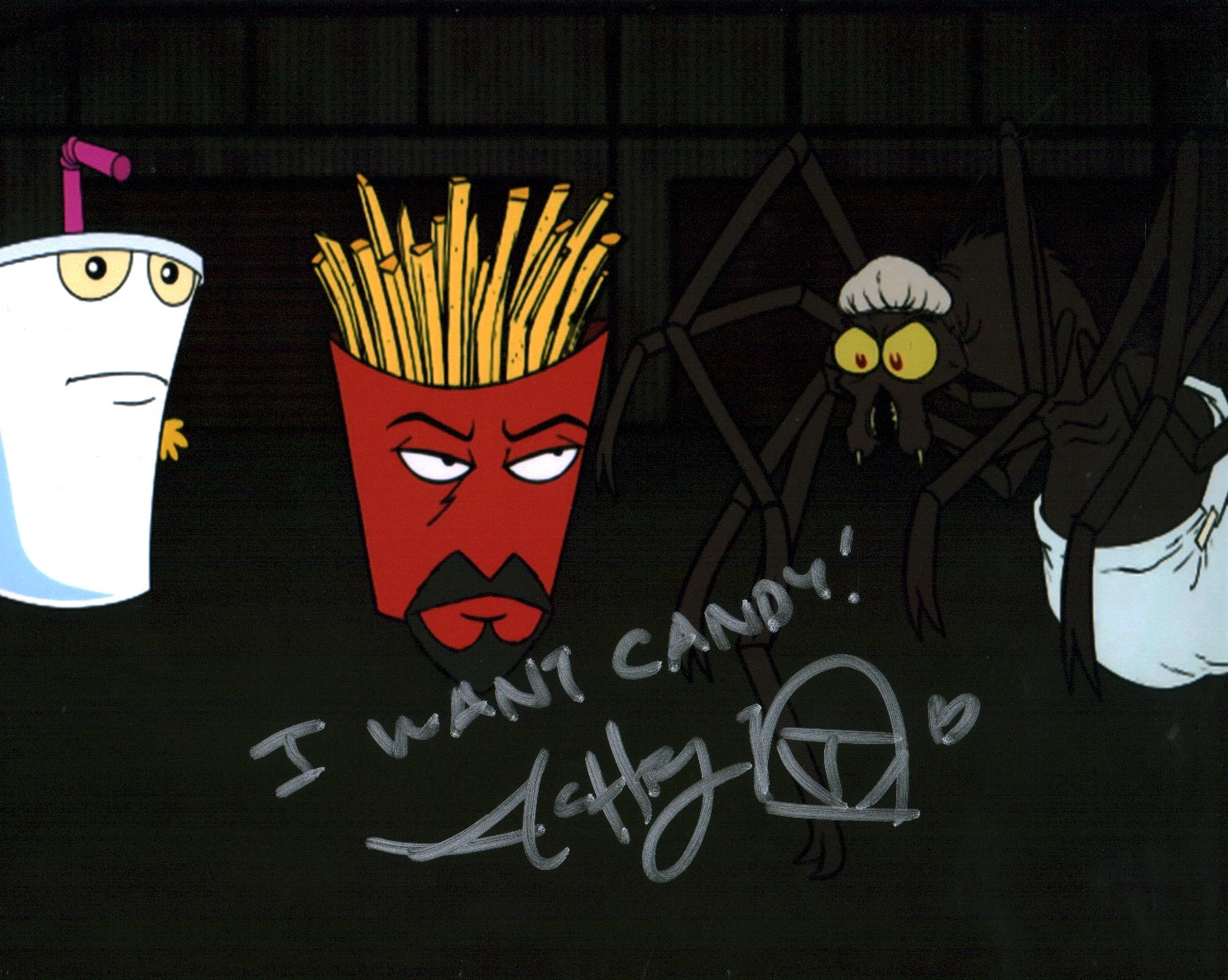 MC Chris Aqua Teen Hunger Force 8x10 Photo JSA Certified Autograph