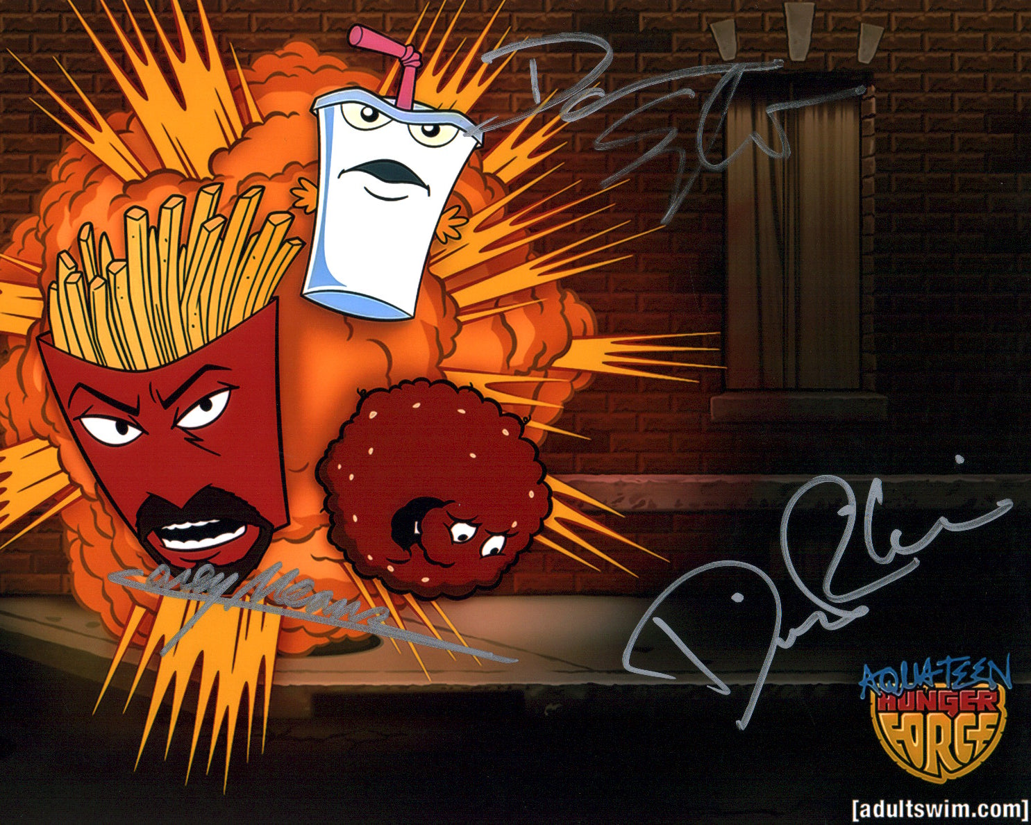 Aqua Teen Hunger Force 8x10 Photo Cast x3 Signed Snyder, Willis, Means JSA Certified Autograph