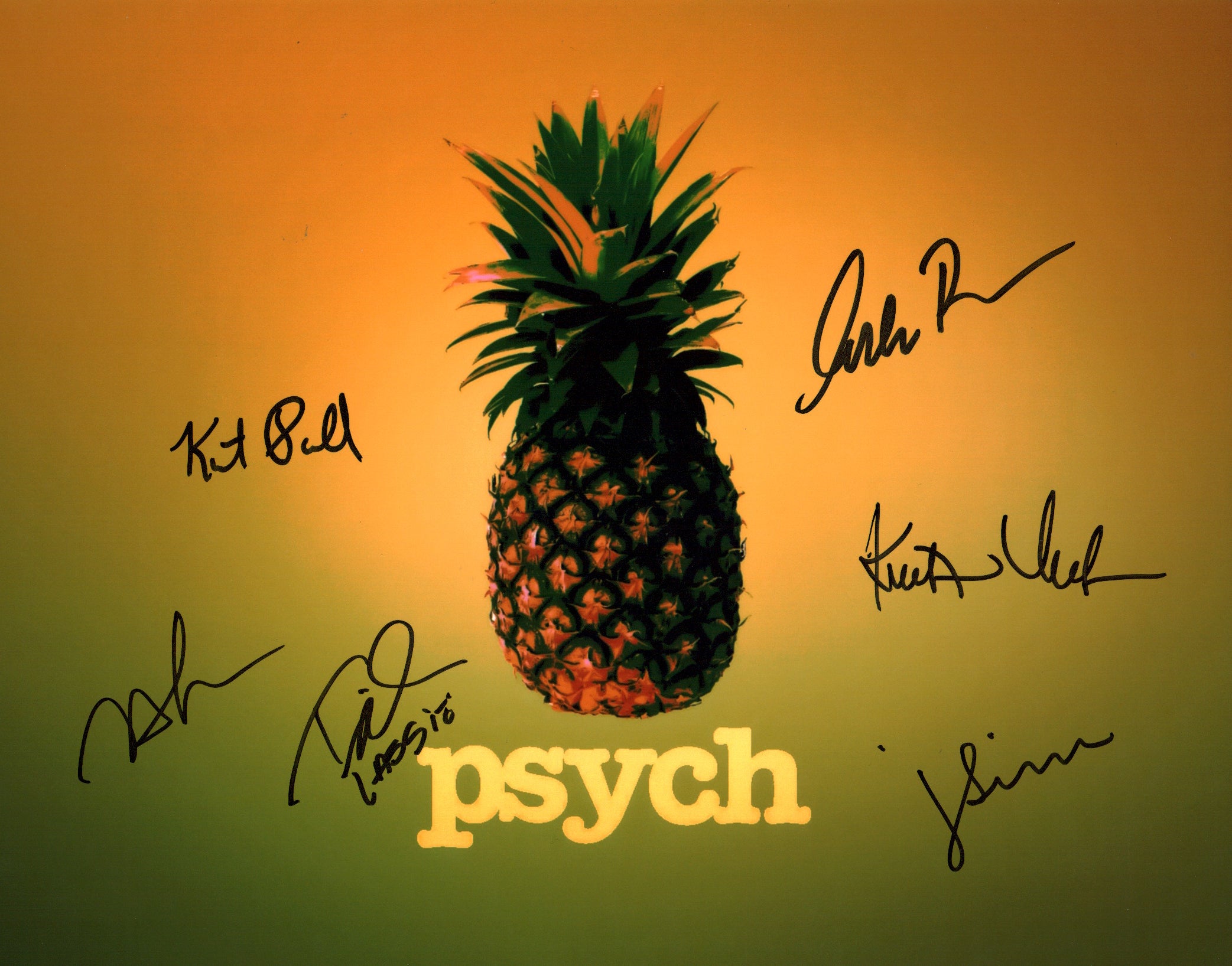 Psych 11x14 Photo Poster Cast x6 Signed Bernsen, Hill, Lawson, Nelson, Omundson, Rodriguez JSA Certified Autograph