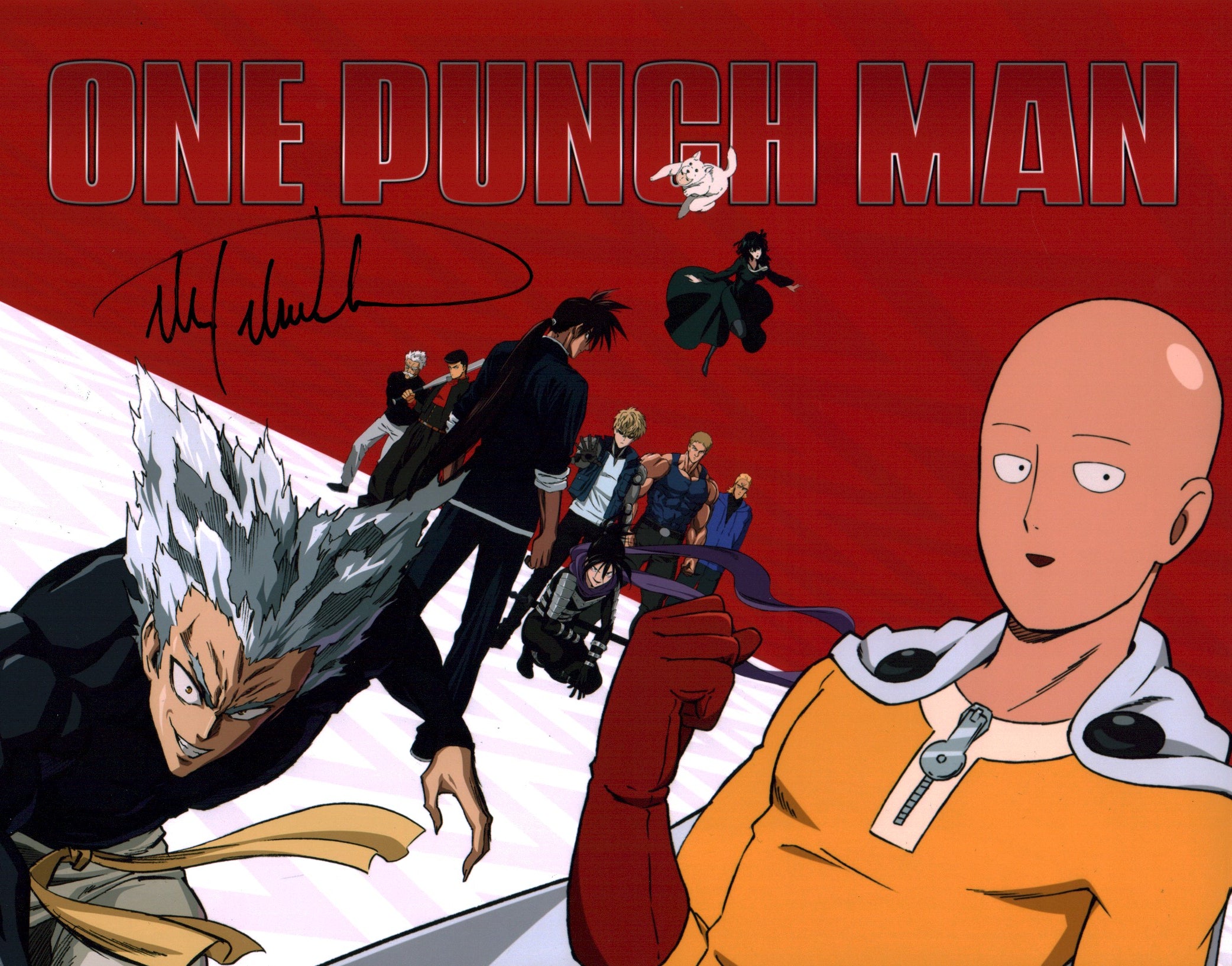 Max Mittelman One Punch Man 11x14 Photo Poster Signed JSA Certified Autograph