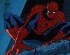 Christopher Daniel Barnes Spider-Man 11x14 Photo Poster Signed Autograph JSA Certified Autograph