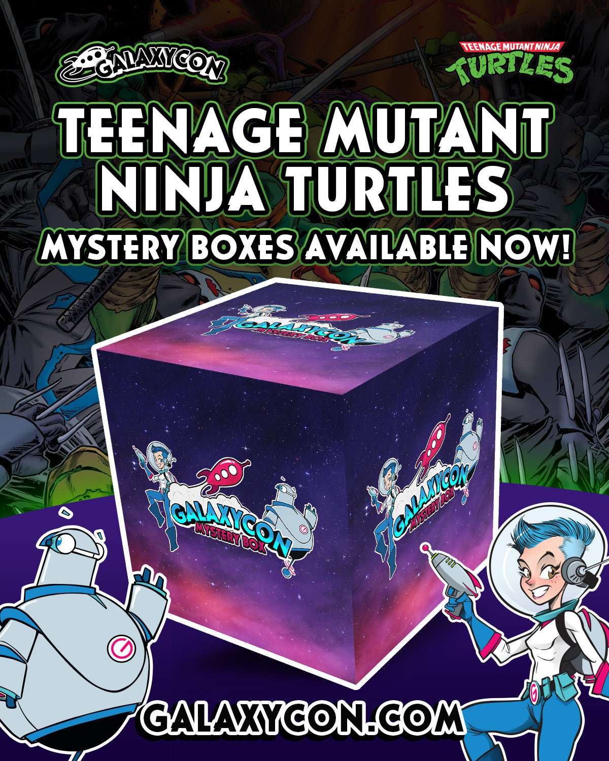 TEENAGE MUTANT NINJA TURTLES Mystery Box
