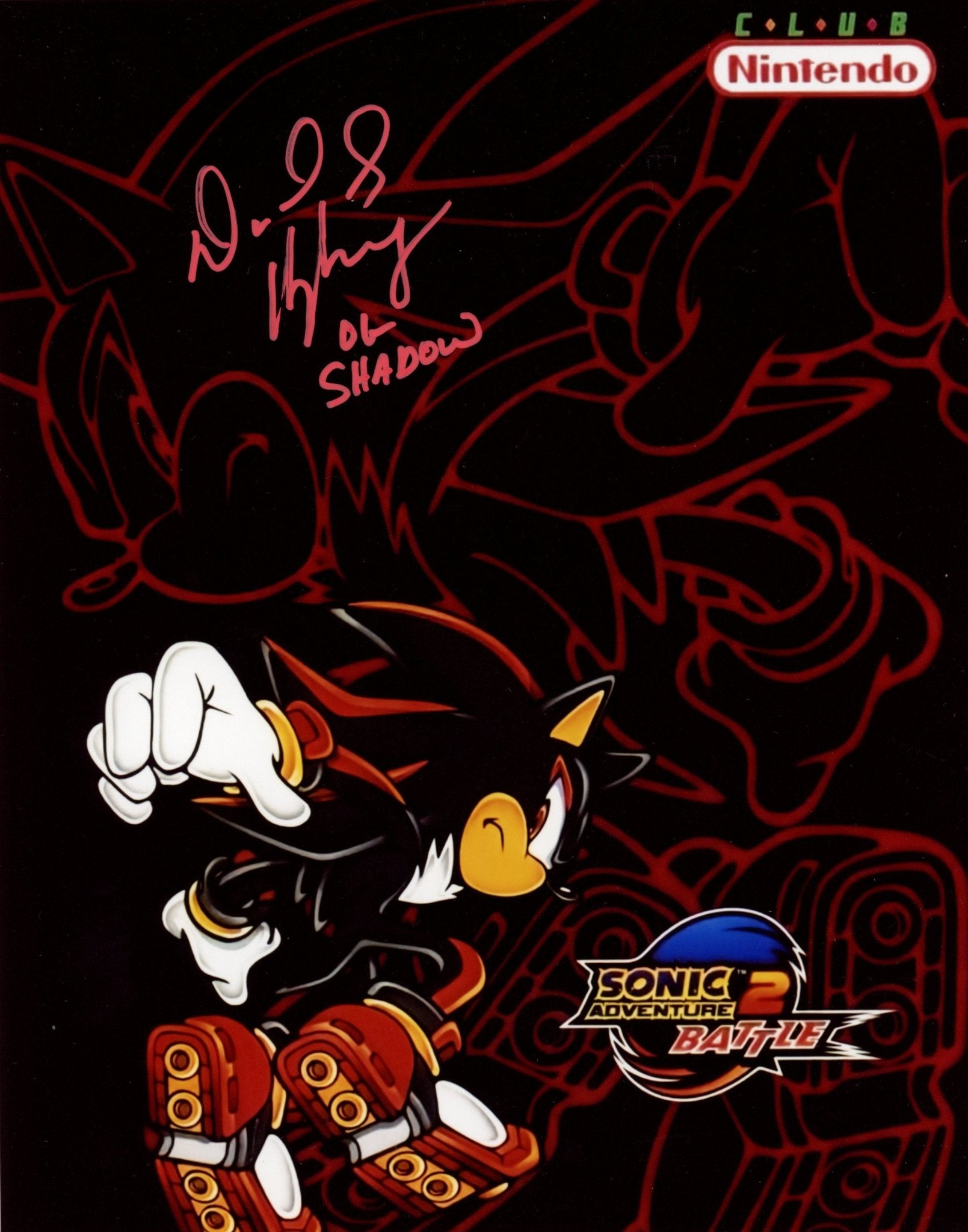 David Humphrey Shadow the Hedgehog 8x10 Signed Photo JSA Certified Autograph