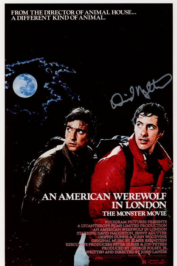 David Naughton An American Werewolf in London 8x12 Photo Signed JSA Certified Autograph