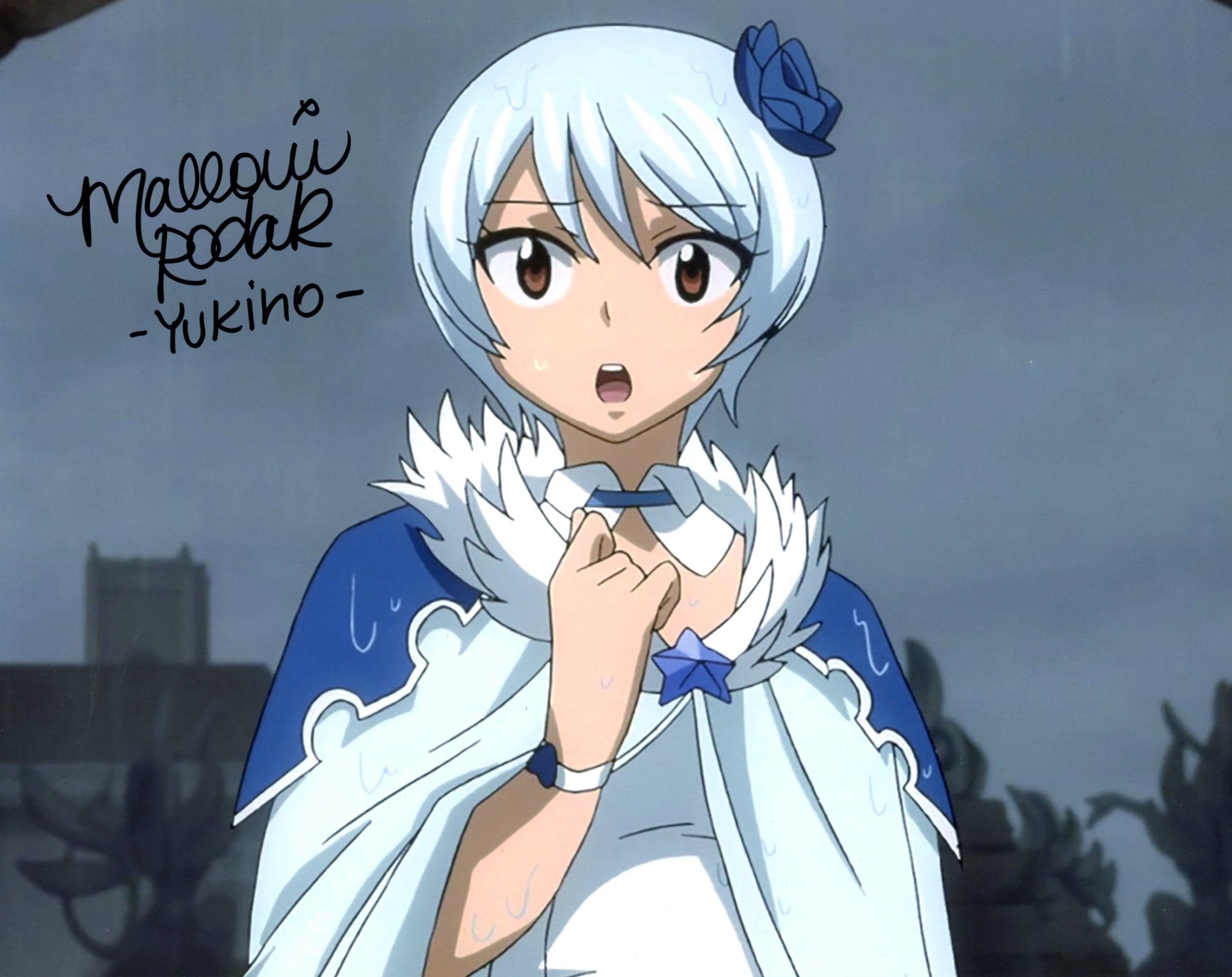 Mallorie Rodak Fairy Tail 8x10 Signed Photo JSA Certified Autograph