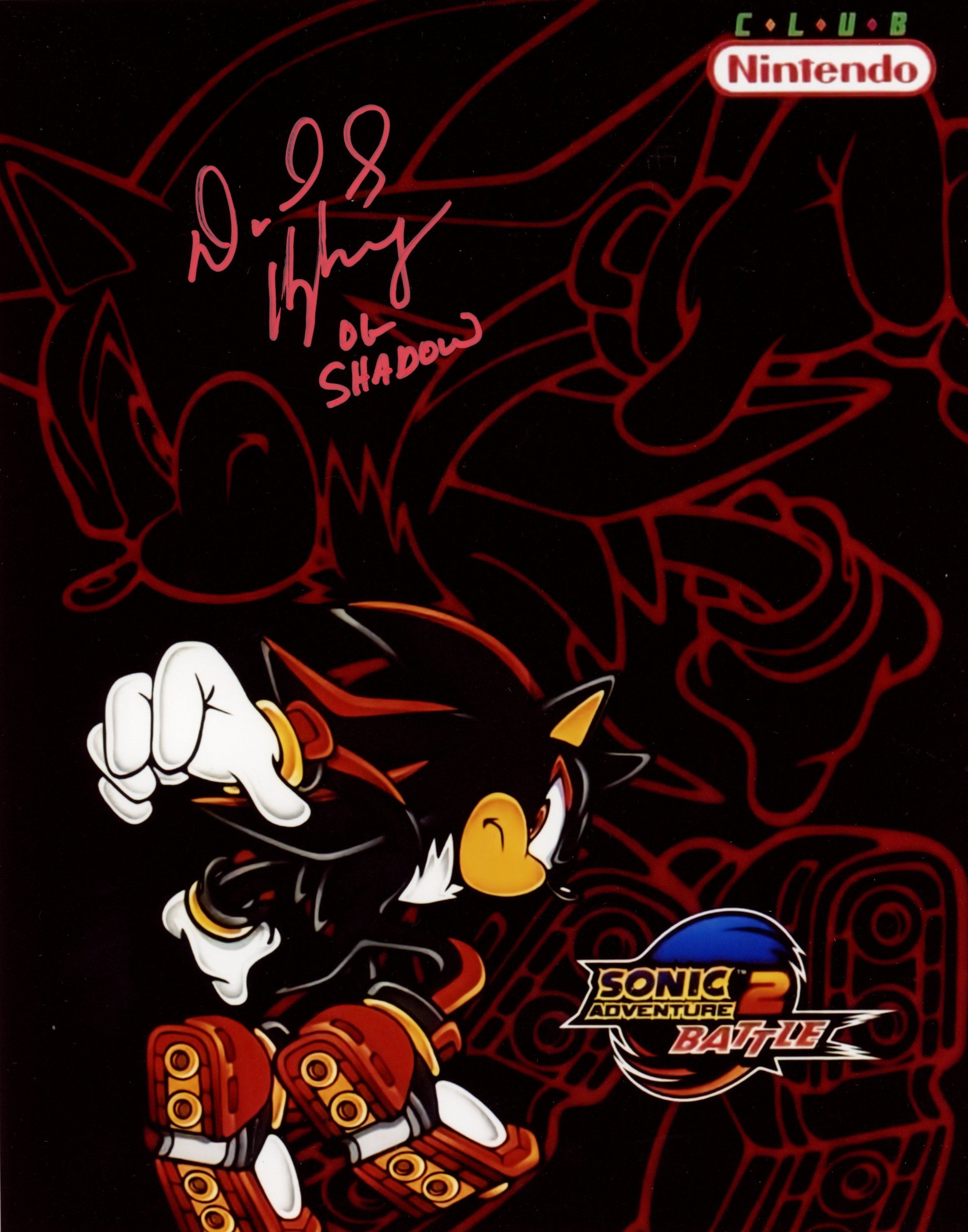 David Humphrey Shadow the Hedgehog 8x10 Signed Photo JSA Certified Autograph