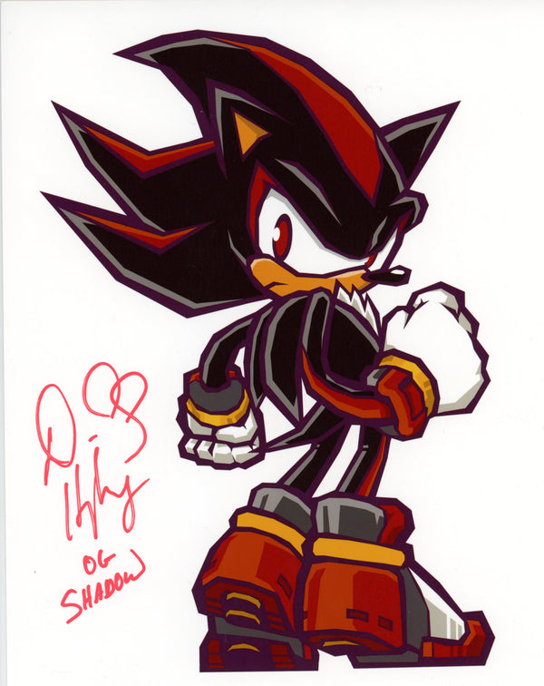 David Humphrey Shadow the Hedgehog 8x10 Signed Photo JSA Certified Autograph