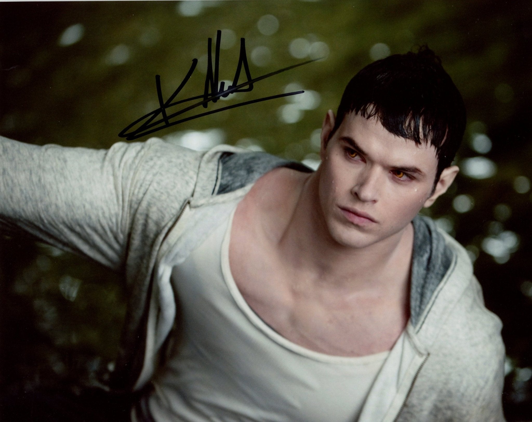 Kellan Lutz Twilight: Saga  8x10 Photo Signed JSA Certified Autograph