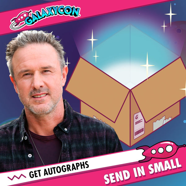 David Arquette: Send In Your Own Item to be Autographed, SALES CUT OFF 6/26/26