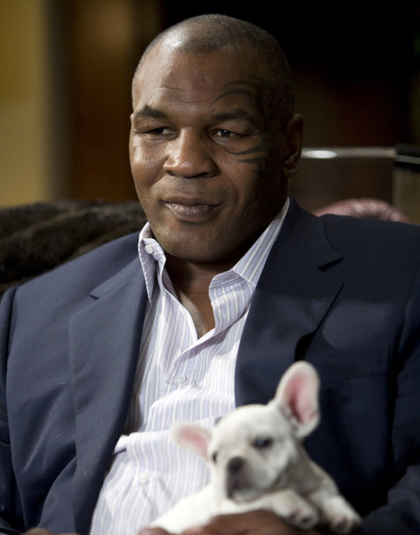 Mike Tyson: Autograph Signing on Mini Posters, November 16th