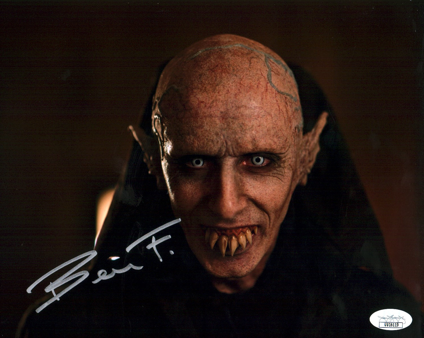 Benjamin Fransham What We Do In The Shadows 8x10 Photo Signed Autograph JSA Certified COA Auto